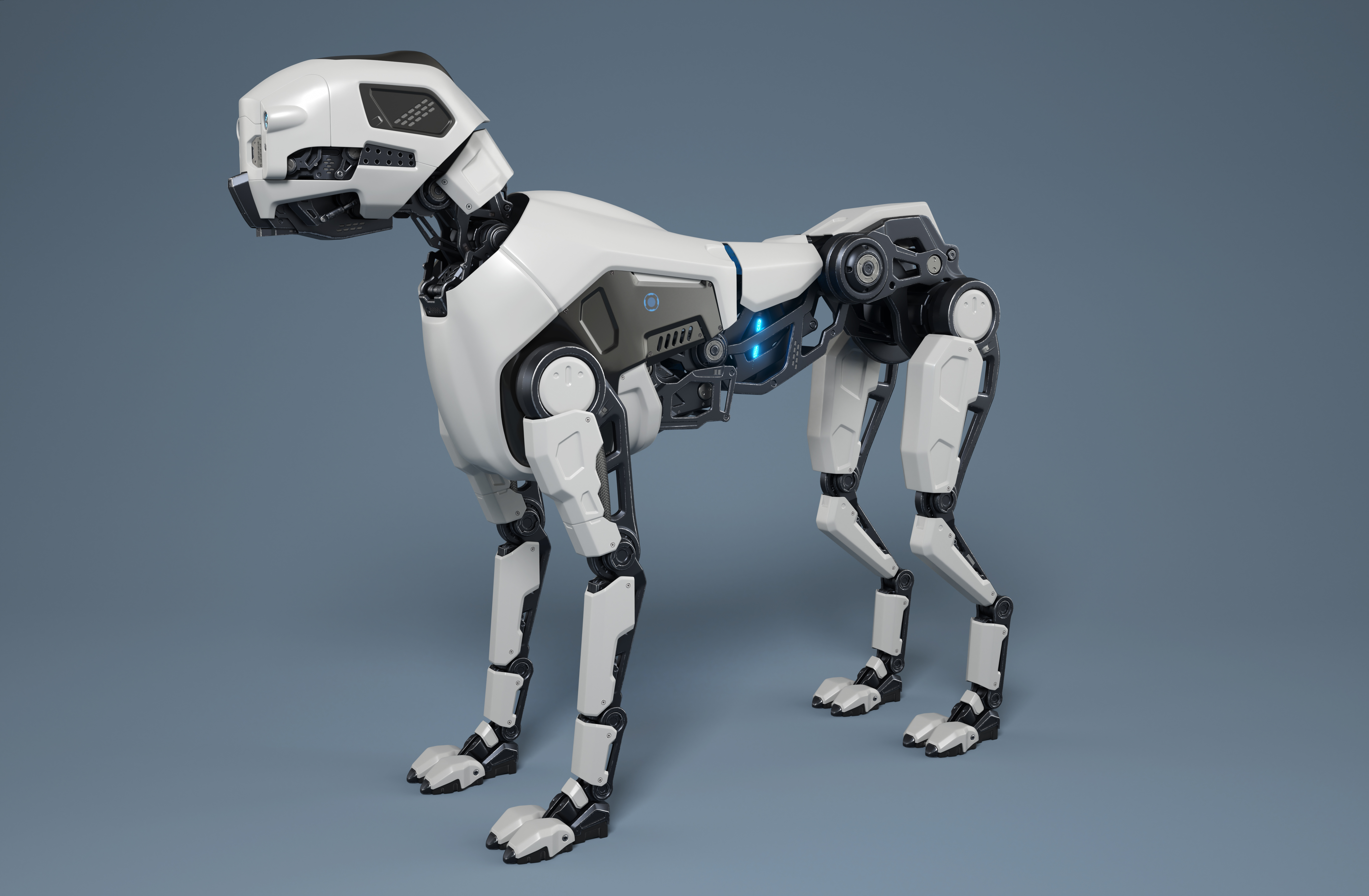 Роботы собаки на открытии игр