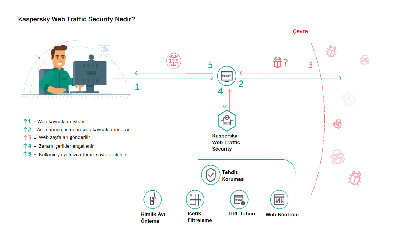 Web traffic security