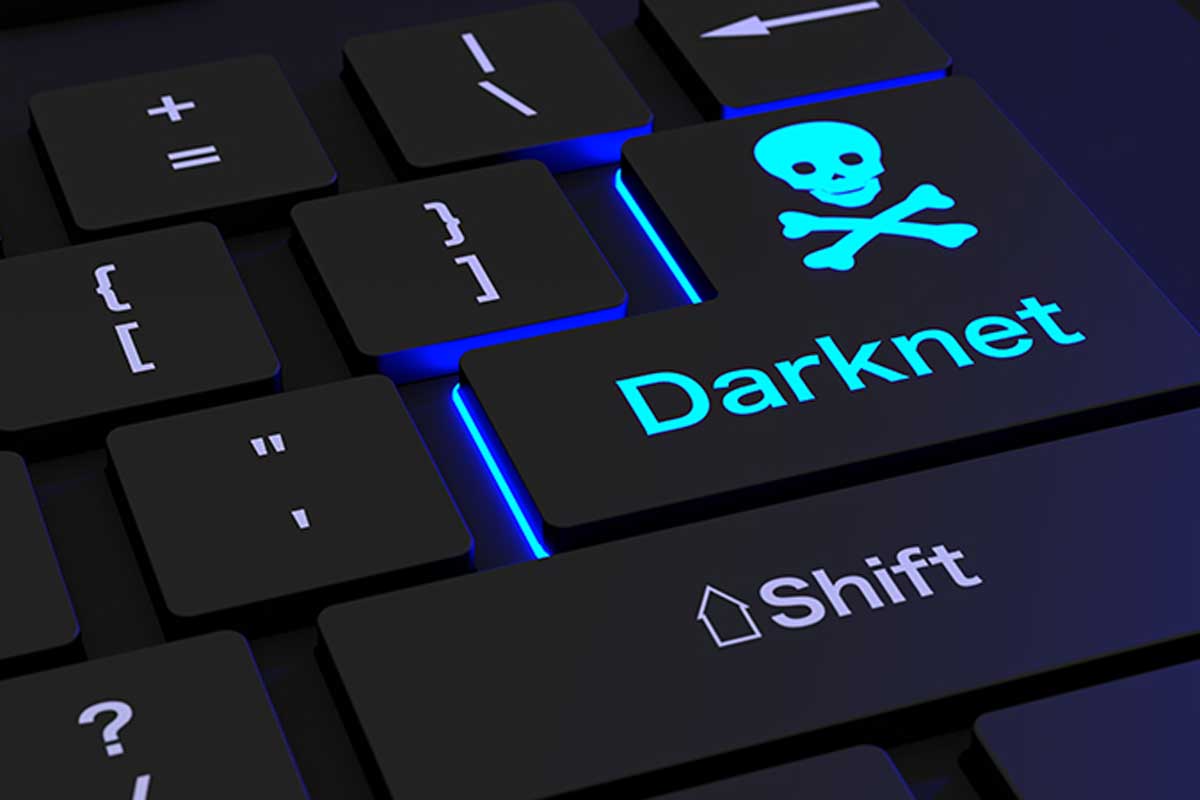 World Market Darknet